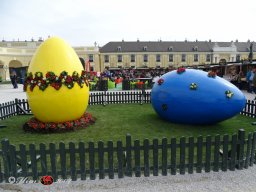  Schönbrunn am 22. 03. 2024